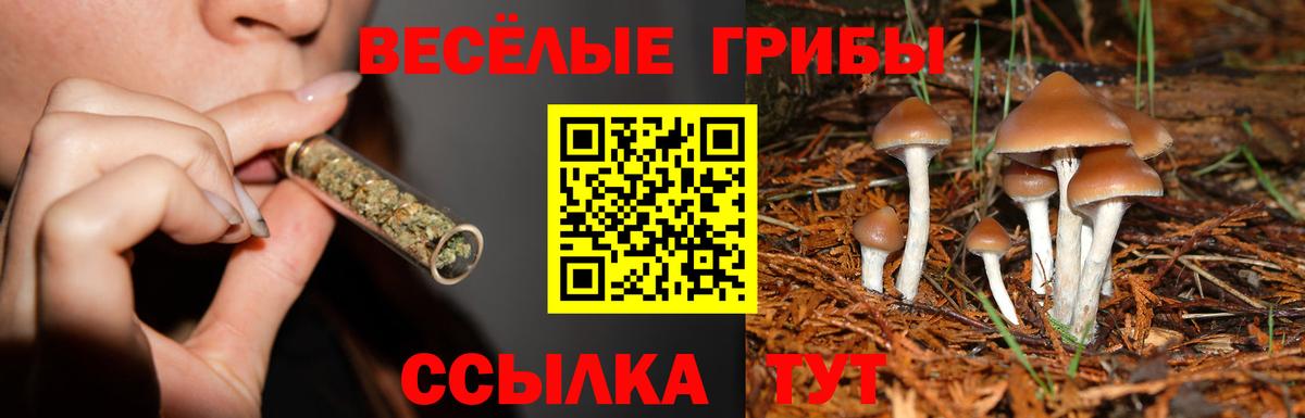 Галлюциногенные грибы GOLDEN TEACHER Александров